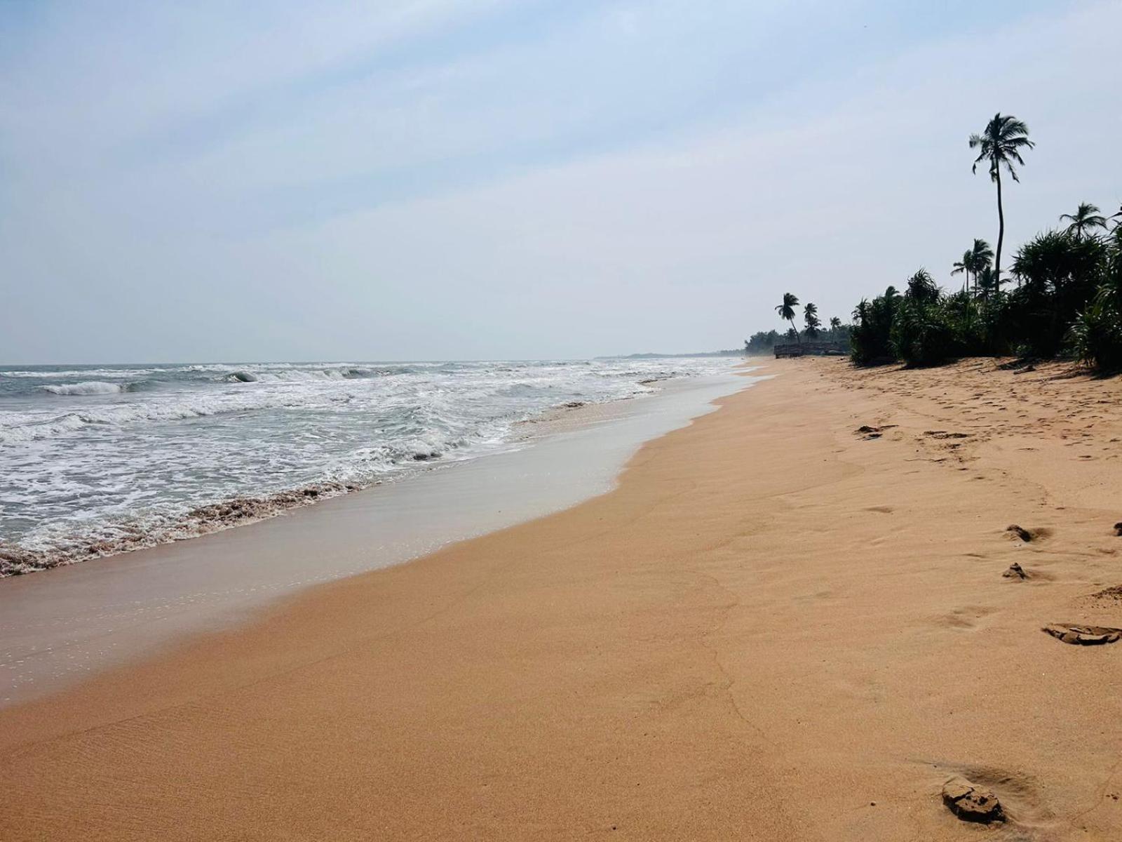 Blu Marine Nilaveli Otel Trincomalee Dış mekan fotoğraf